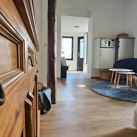 公寓 2 Nahe Blauen Wunder 德累斯顿